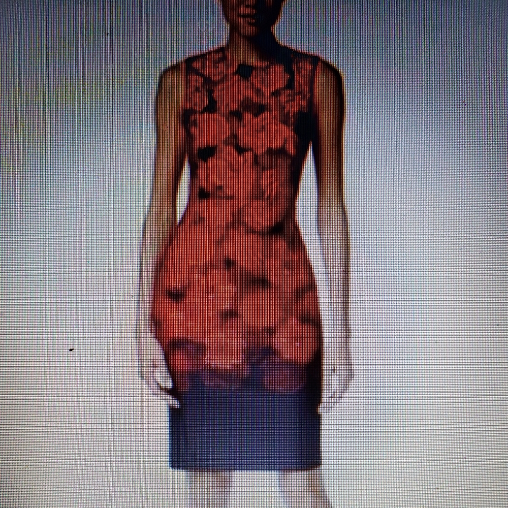 Calvin Klein scuba red rose sheath dress